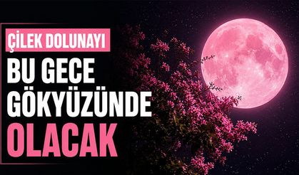 Çilek Dolunayı bu gece gökyüzünü aydınlatacak