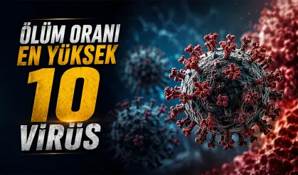 Ölüm oranı en yüksek 10 virüs