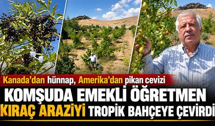 Afyonkarahisarlı kıraç arazide binlerce ağaç yetiştiriyor