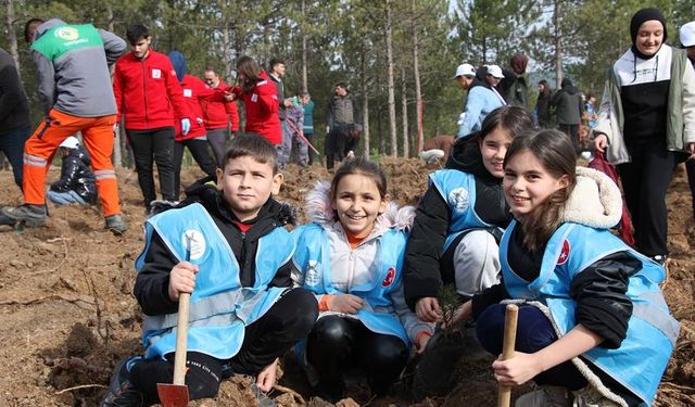 Kütahya Tavşanlı’da yanan orman alanı 2 bin fidanla buluştu