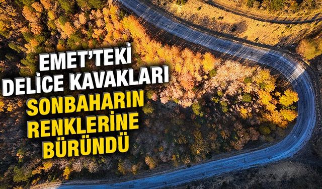 Kütahya'da delice kavakları sonbahar renklerine büründü