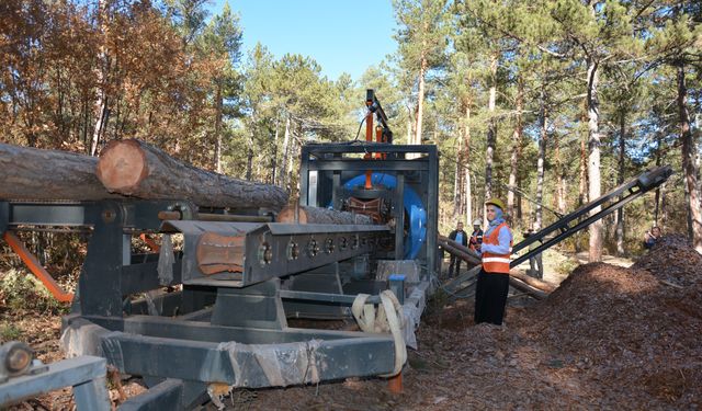 Gediz Orman İşletme Müdürlüğü teknik danışmanlık hizmeti alacak
