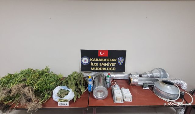 İzmir'de evinde kenevir yetiştiren zanlı tutuklandı