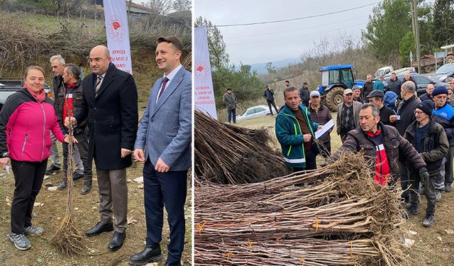 Kütahya Tavşanlı’da hünnap ve cennet hurması fidanları dağıtıldı