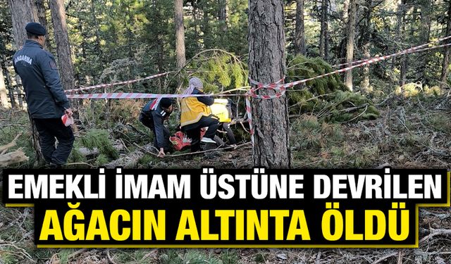 Kütahya'da kestiği ağacın altında kalan orman işçisi öldü