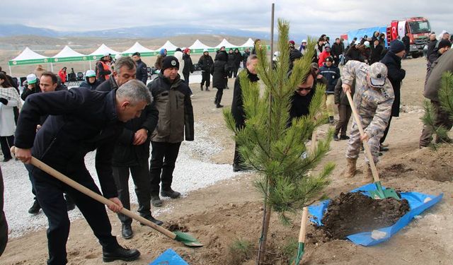 Kütahya’da 4 bin karaçam fidanı dikildi