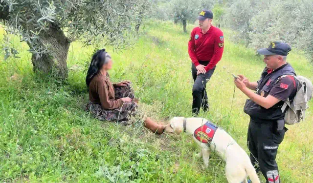Aydın'da kayıp kadın arazide sağ salim bulundu