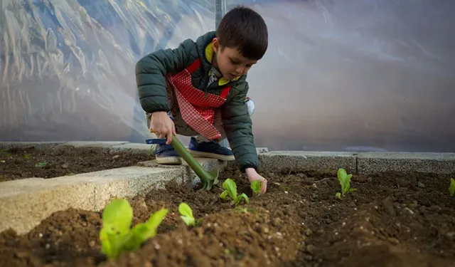 Doğada oynayan çocuklar daha güçlü bağışıklığa sahip oluyor