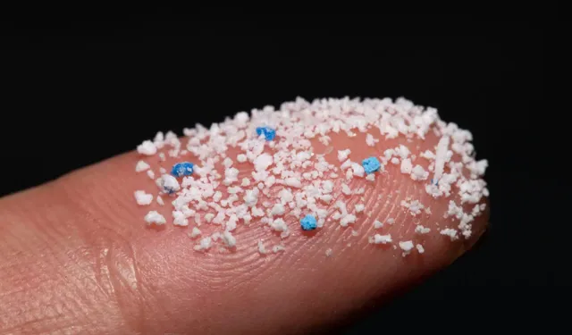 İnsan yumurtalık sıvısında mikroplastik bulundu