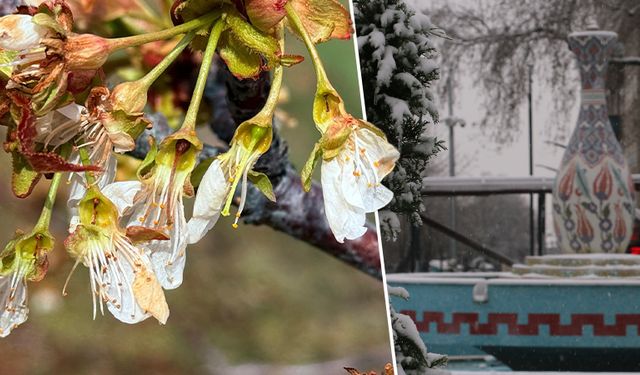 Meteoroloji’den Kütahya’da zirai don uyarısı