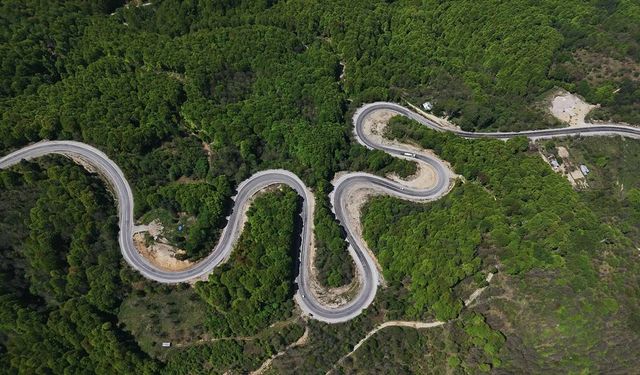 Domaniç Dağları'nda kıvrımlı yollar yeşilin tonlarıyla buluştu
