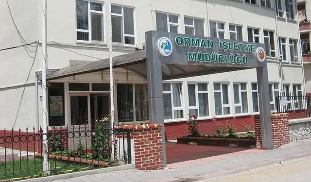 Domaniç Orman İşletme Müdürlüğü’nden teknik kontrolörlük hizmeti alım ihalesi