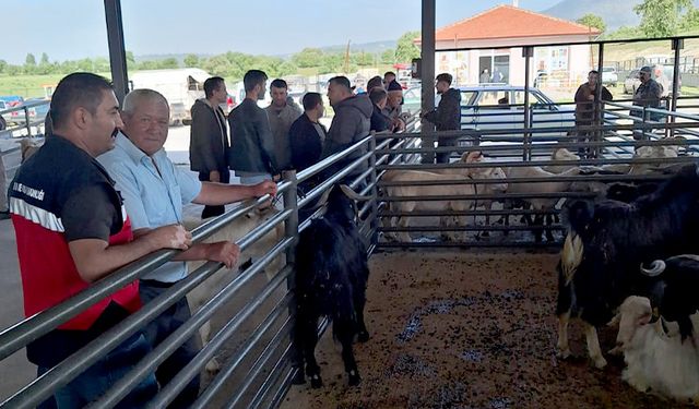 Kütahya Gediz'de hayvan pazarı denetlendi