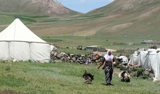 Tendürek dağı eteklerinde Göçerlerin kış hazırlığı