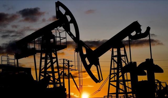 Türkiye’nin petrol ve LPG ithalatında artış gözlendi