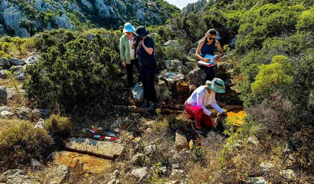 Phoenix Antik Kenti’nde araştırmalar hız kesmeden sürüyor