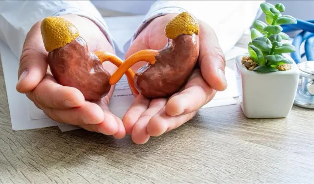 Böbrek nakli sonrası sağlıklı yaşam artık mümkün