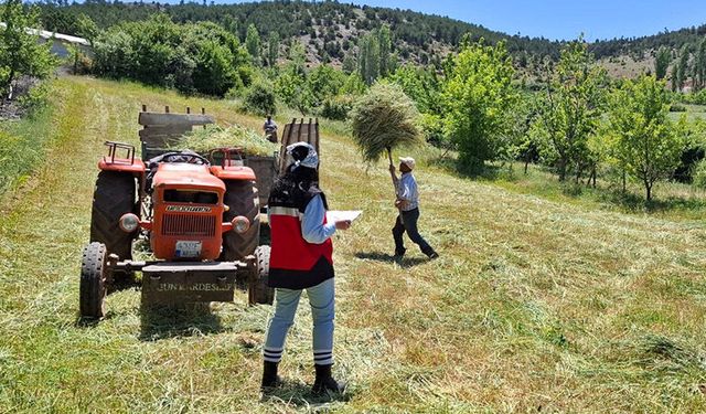 Kütahya Hisarcık'ta yem bitkisi destekleme kontrolü yapıldı
