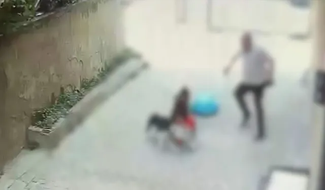 Pitbull cinsi köpeğin saldırdığı çocuk yaralandı