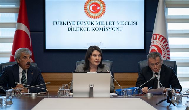 TBMM Dilekçe Komisyonu vatandaşların sorunlarına çözüm üretiyor