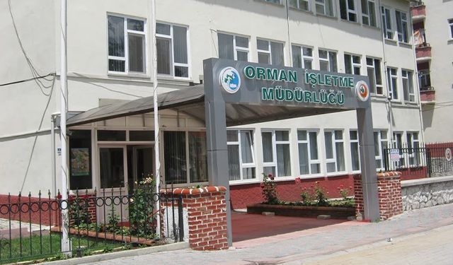 Domaniç Orman İşletme Müdürlüğü'nden kömür alımı ihalesi