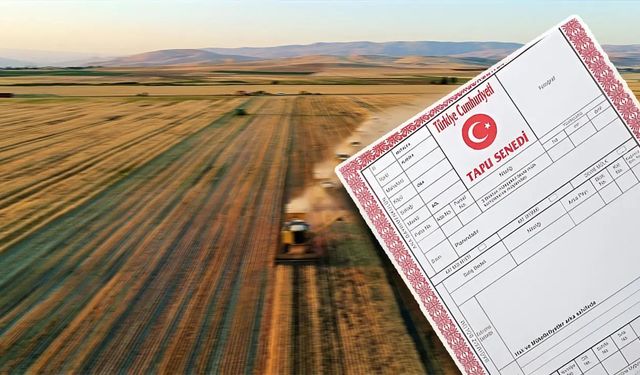 Kütahya Dumlupınar’da tarım arazisi mahkemeden satışa çıkarıldı