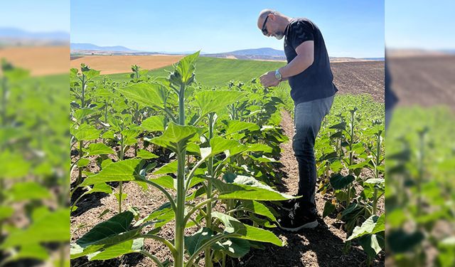 Kütahya Aslanapa’da TAKEP kapsamında ekilen tarlalar denetlendi