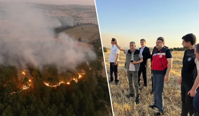 Kütahya Dumlupınar'daki orman yangınında son durum