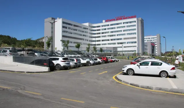 Kargo Taşıma Hizmeti Alınacaktır