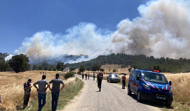 Kütahya'da büyük orman yangını