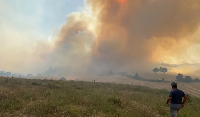 Kütahya Dumlupınar'da ormanlık alanda yangın