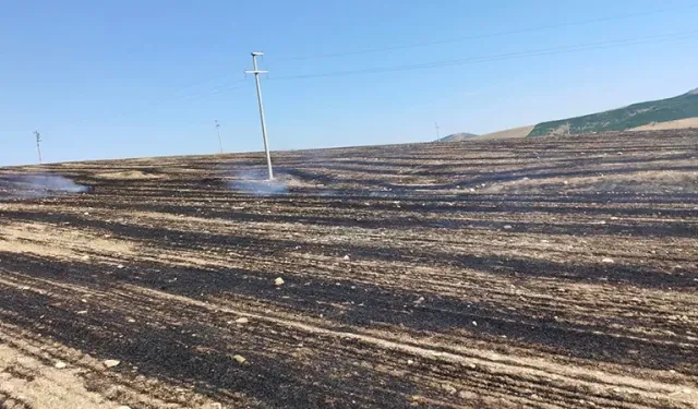 Kütahya Altıntaş’ta anız yangını