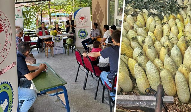 Kütahya’da Göncek kavunu “organik tarım” kapsamına alındı