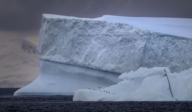 Kutup bölgeleri koordinasyon kurulu kuruldu