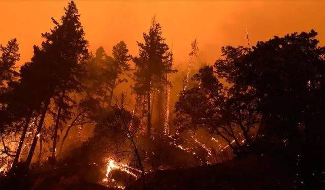 Türkiye, Kıbrıs ve Yunanistan'da yangın riski 10 kat arttı