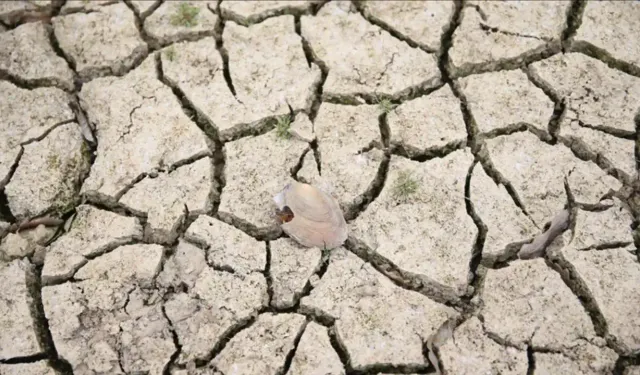 “İç Anadolu ve Güneydoğu’da rekor düşük yağış”