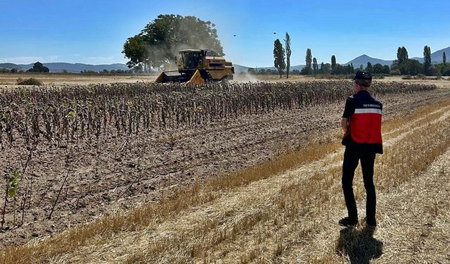 Kütahya Simav’da yağlık ayçiçeği hasadı kontrolleri yapıldı
