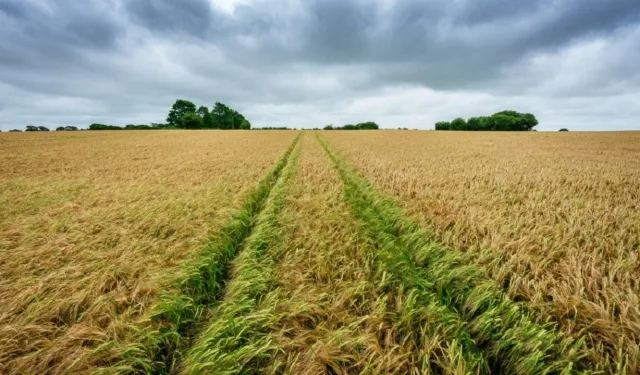 Tavşanlı Belediyesi duyurdu: Bu tarihte arsa satılacak!