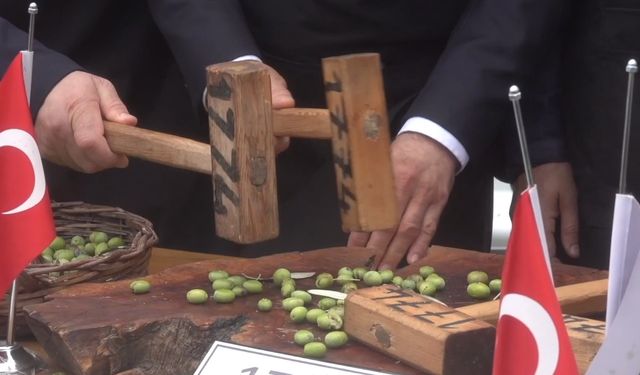 Balıkesir Edremit’te Zeytinyağı Festivali rekor katılımla bitti