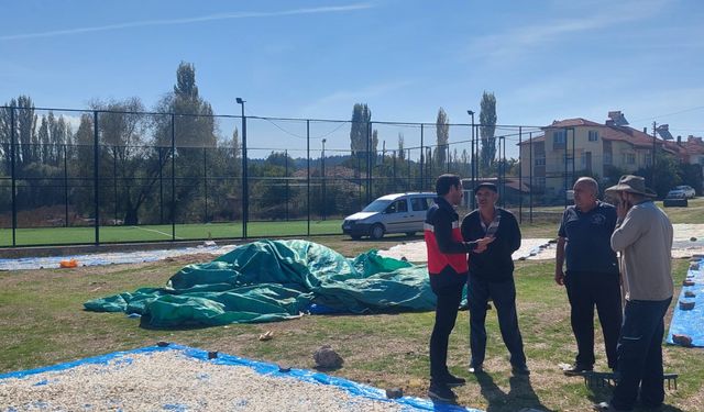 Çavdarhisar’da çerezlik kabak kontrolleri gerçekleştirildi