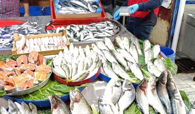 Gediz'de balıkçılık işletmelerinde rutin denetimler