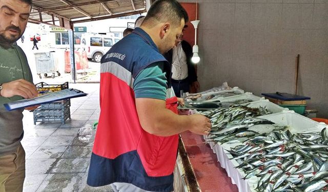 Kütahya Domaniç’te balık pazarı denetlendi