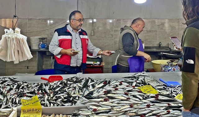 Kütahya Emet’te balık pazarı denetlendi