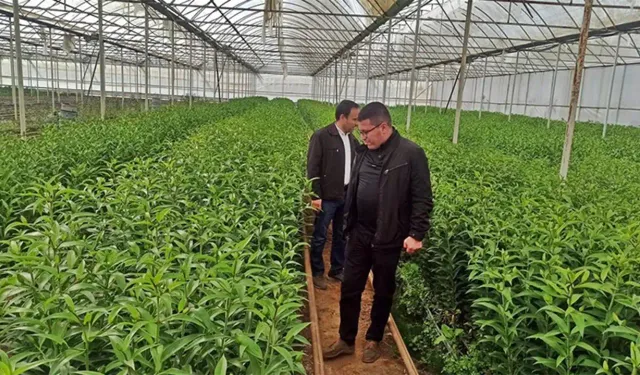 Kütahya Emet’te üreticilere seracılık gezisi düzenlendi