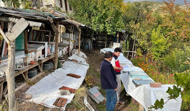 Kütahya Gediz’de arıcılık destekleme tespitleri sürüyor