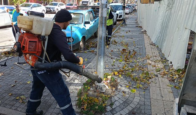 Kütahya’da sonbahar temizliği devam ediyor