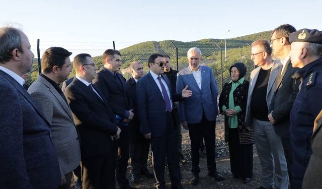 Vali Musa Işın, hayvan barınağı çalışmalarını inceledi