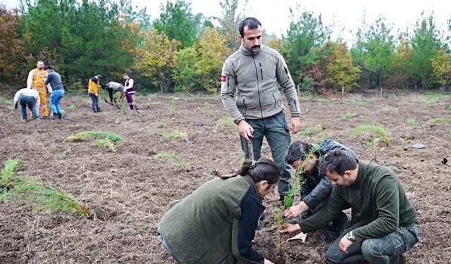 Balıkesir Sındırgı’da fidanlar toprakla buluştu