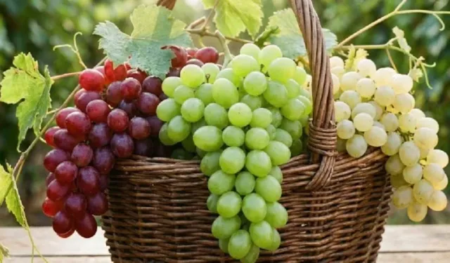 Beyaz ve kırmızıyı geride bıraktı: En sağlıklı üzüm açıklandı