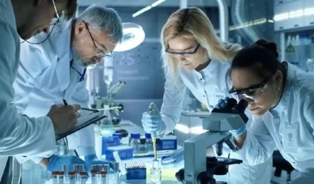 Bilim insanları peşinde: altın kanın sırrı çözülüyor